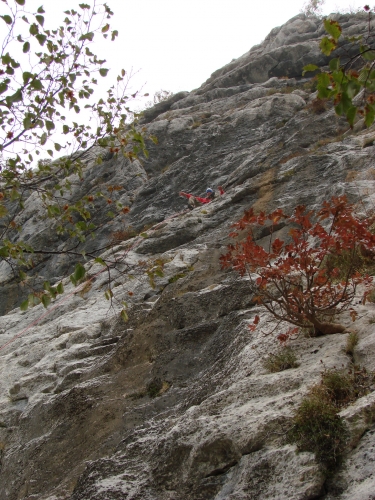 utrinekslika